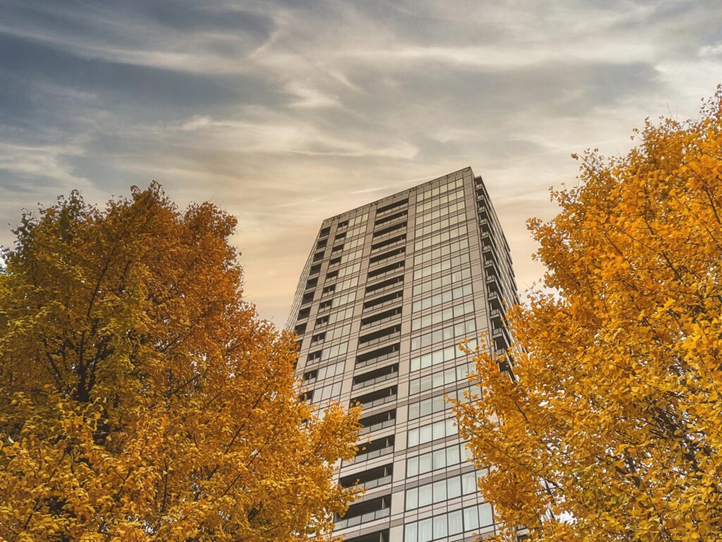 20061004_20260926